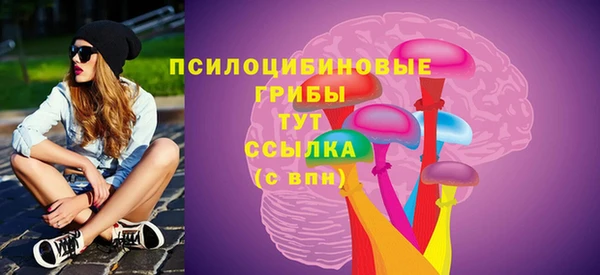 мдпв Осинники