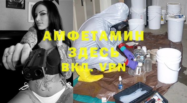 мдпв Осинники