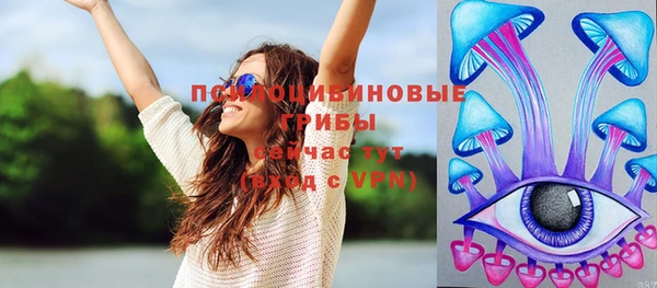 мдпв Осинники